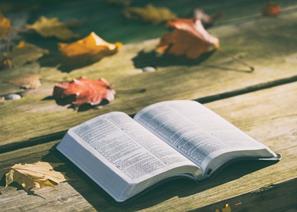 Biblia, Libro, Conocimiento, PÃ¡ginas, La Lectura
