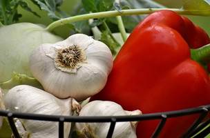 Vegetables, Paprika, Garlic, Healthy