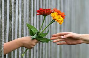 Hand Bouquet Fence Gift Give Congratulate