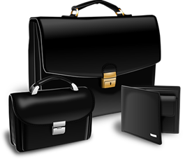 Briefcase Purse Suitcase Portfolio Attache